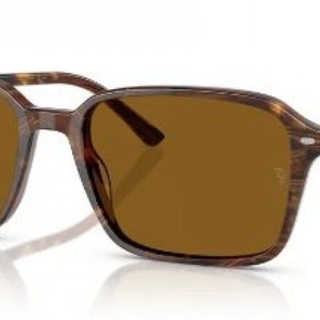 Occhiali da sole Ray-Ban Unisex  in      0RB223114183356