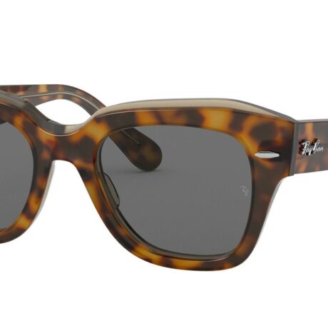 Occhiali da sole Ray-Ban Unisex  in      0RB21861292B12049