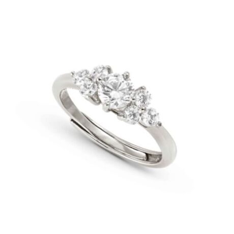 Anello Nomination Donna in Argento 242501/010/006