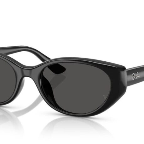 Occhiali da sole Ray-Ban 0RB4457D66778755