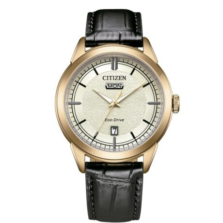 Orologio Citizen Uomo in Acciaio AW0153-04A