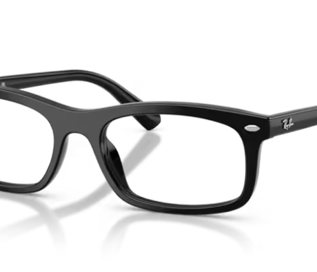 Montatura vista Ray-Ban Vista 0RX5450200056