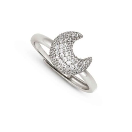 Anello Nomination Donna in Argento 242700/022