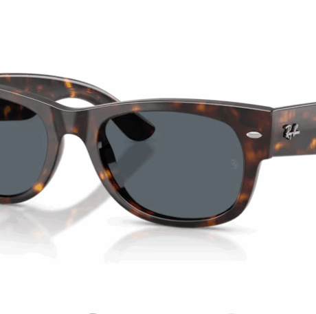 Occhiali da sole Ray-Ban 0RB0832S902/R555