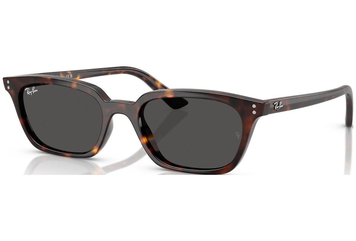 Occhiali da sole Ray-Ban 0RB445613598753 - immagine 2