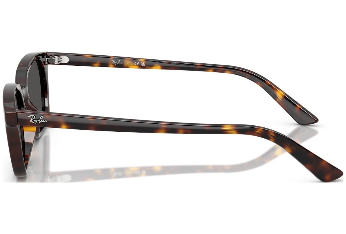 Occhiali da sole Ray-Ban 0RB445613598753 - immagine 3